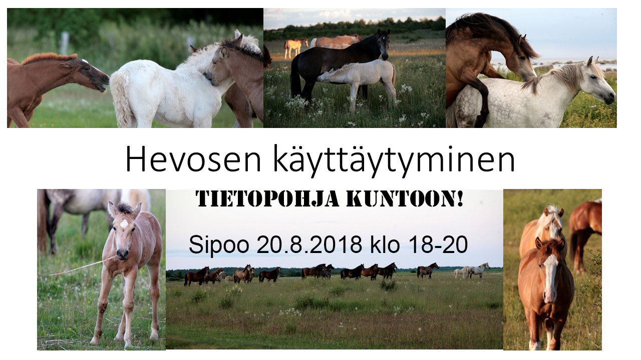hevosen_kayttaytyminen