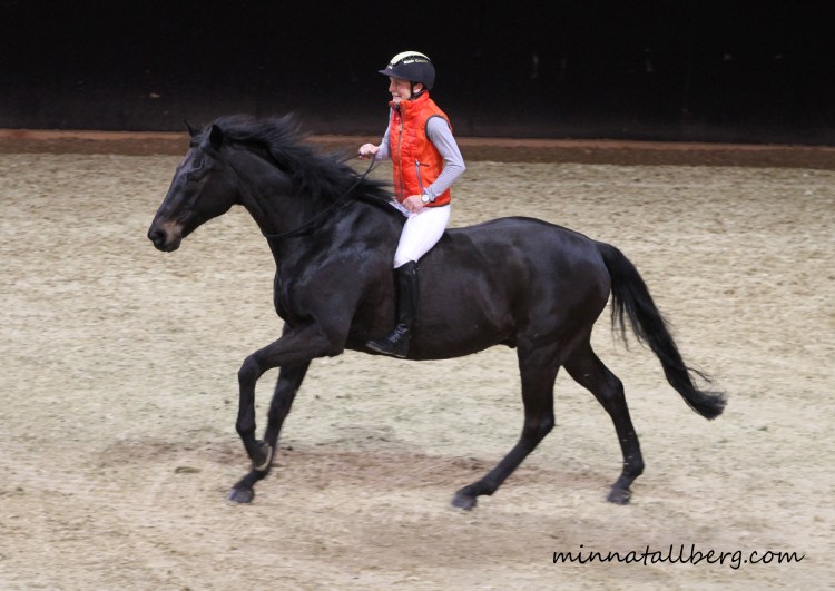 This image has an empty alt attribute; its file name is img_8389.jpg